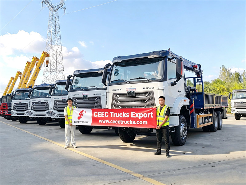 Cinq grues mobiles HOWO ont été livrées en Angola.